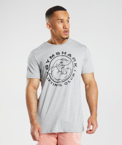 Men's Gymshark Legacy T-Shirts Light Grey | CA N86107